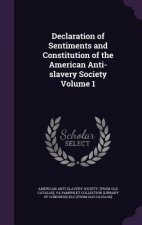 DECLARATION OF SENTIMENTS AND CONSTITUTI