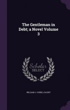 Gentleman in Debt; A Novel Volume 3