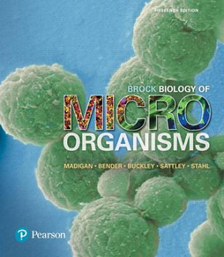 BROCK BIOLOGY OF MICROORGANISM