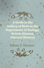 GT THE GALLERY OF BIRDS IN THE