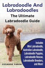 Labradoodle And Labradoodles