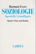 Soziologie. Spezielle Grundlagen 6