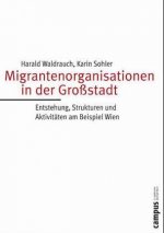 Migrantenorganisationen in der Großstadt