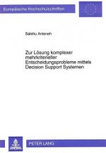 Zur Loesung komplexer mehrkriterieller Entscheidungsprobleme mittels Decision Support Systemen