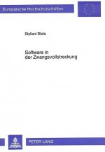 Software in der Zwangsvollstreckung