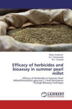 Efficacy of herbicides and bioassay in summer pearl millet