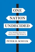 One Nation Undecided