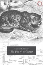 Fire of the Jaguar