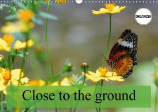 Close to the ground (Wall Calendar 2017 DIN A3 Landscape)