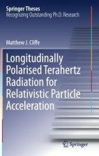 Longitudinally Polarised Terahertz Radiation for Relativistic Particle Acceleration