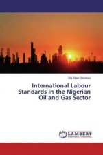 International Labour Standards in the Nigerian Oil and Gas Sector