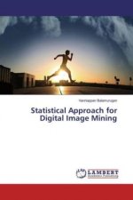 Statistical Approach for Digital Image Mining