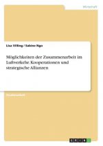 Moeglichkeiten der Zusammenarbeit im Luftverkehr. Kooperationen und strategische Allianzen