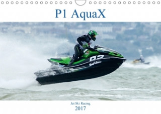 P1 AquaX (Wall Calendar 2017 DIN A4 Landscape)