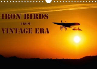 Iron birds from vintage era (Wall Calendar 2017 DIN A4 Landscape)