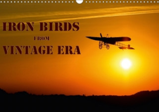 Iron birds from vintage era (Wall Calendar 2017 DIN A3 Landscape)