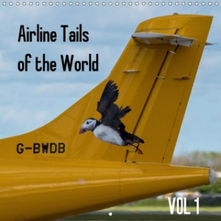Airline Tails of the World Vol1 (Wall Calendar 2017 300 × 300 mm Square)