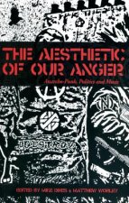 Aesthetic Of Our Anger
