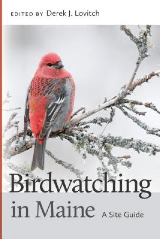 Birdwatching in Maine