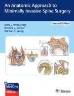Anatomic Approach to Minimally Invasive Spine Surgery