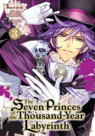 Seven Princes of the Thousand Year Labyrinth
