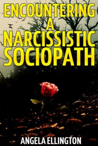 Encountering a Narcissistic Sociopath