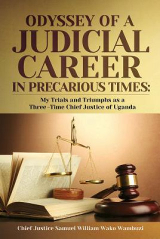 ODYSSEY OF A JUDICIAL CAREER I