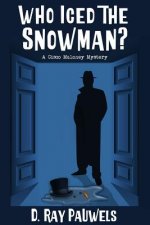 WHO ICED THE SNOWMAN