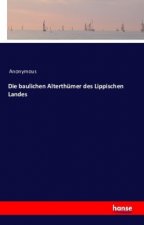 Die baulichen Alterthümer des Lippischen Landes