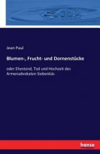 Blumen-, Frucht- und Dornenstucke