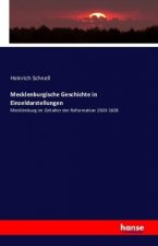 Mecklenburgische Geschichte in Einzeldarstellungen