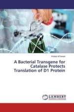 A Bacterial Transgene for Catalase Protects Translation of D1 Protein