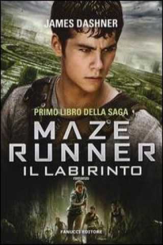 Il labirinto. Maze Runner