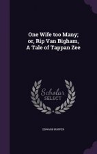 One Wife Too Many; Or, Rip Van Bigham, a Tale of Tappan Zee