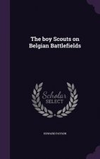 Boy Scouts on Belgian Battlefields