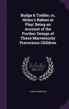 Budge & Toddie; Or, Helen's Babies at Play; Being an Account of the Further Doings of These Marvelously Precocious Children