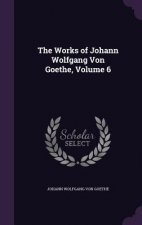 Works of Johann Wolfgang Von Goethe, Volume 6