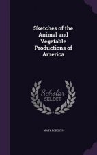 Sketches of the Animal and Vegetable Productions of America