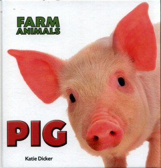 Farm Animals: Pig