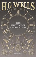 Anatomy of Frustration