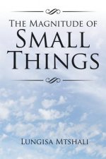 Magnitude of Small Things
