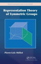 Representation Theory of Symmetric Groups