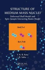 Structure of Medium Mass Nuclei