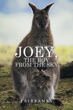 Joey, the Boy from the Sky