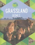 Earth's Natural Biomes: Grassland