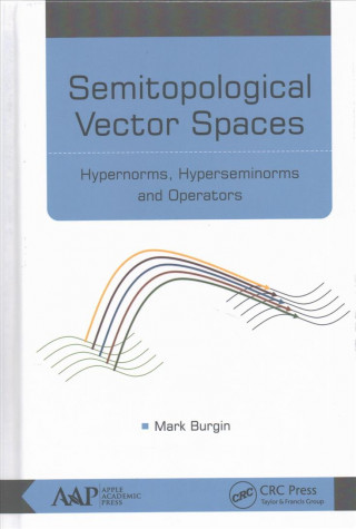Semitopological Vector Spaces