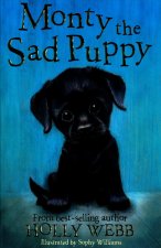 Monty the Sad Puppy