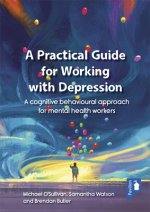 Practical Guide to Working with Depression