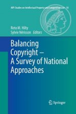 Balancing Copyright - A Survey of National Approaches