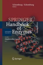 Class 1 Oxidoreductases